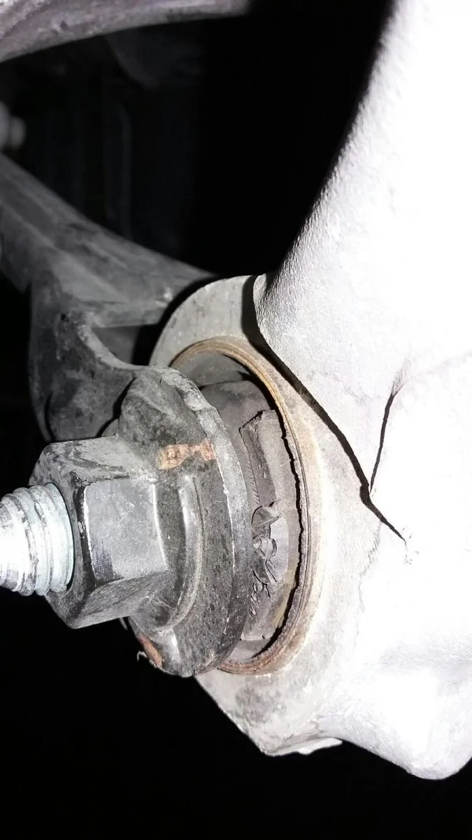 image.webp