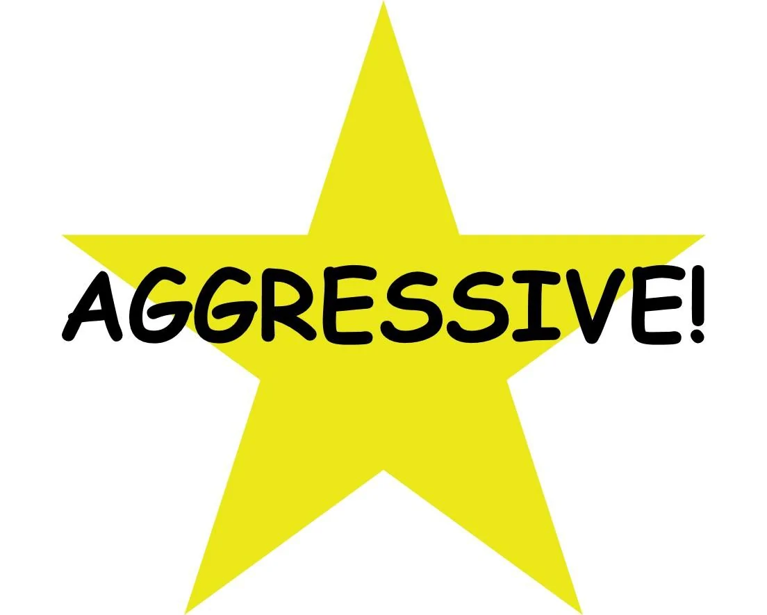 AGGRESSIVE.webp