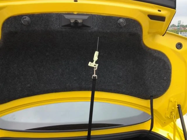 20160526_dog_leash_in_trunk.webp