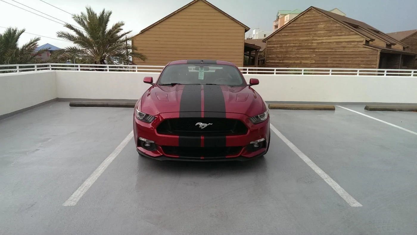 IMAG2893.webp