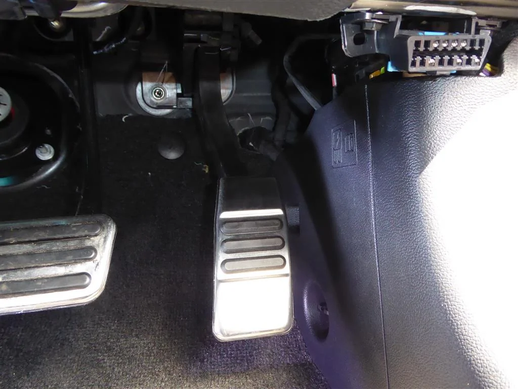 P1010785 (Medium).webp