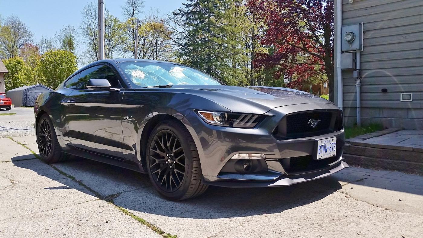 mustang 1.jpg