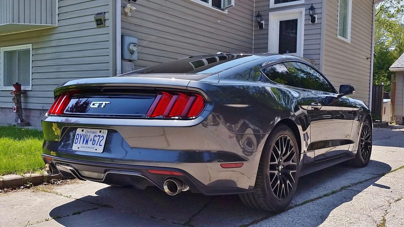 mustang 3.jpg