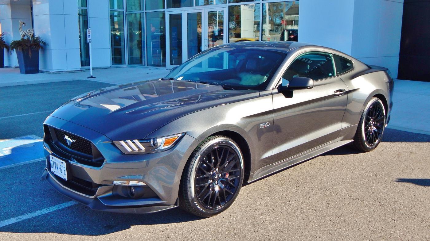 mustang 5.jpg