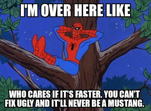 ugly and not mustang.jpg