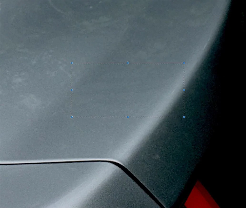Mustang1.webp