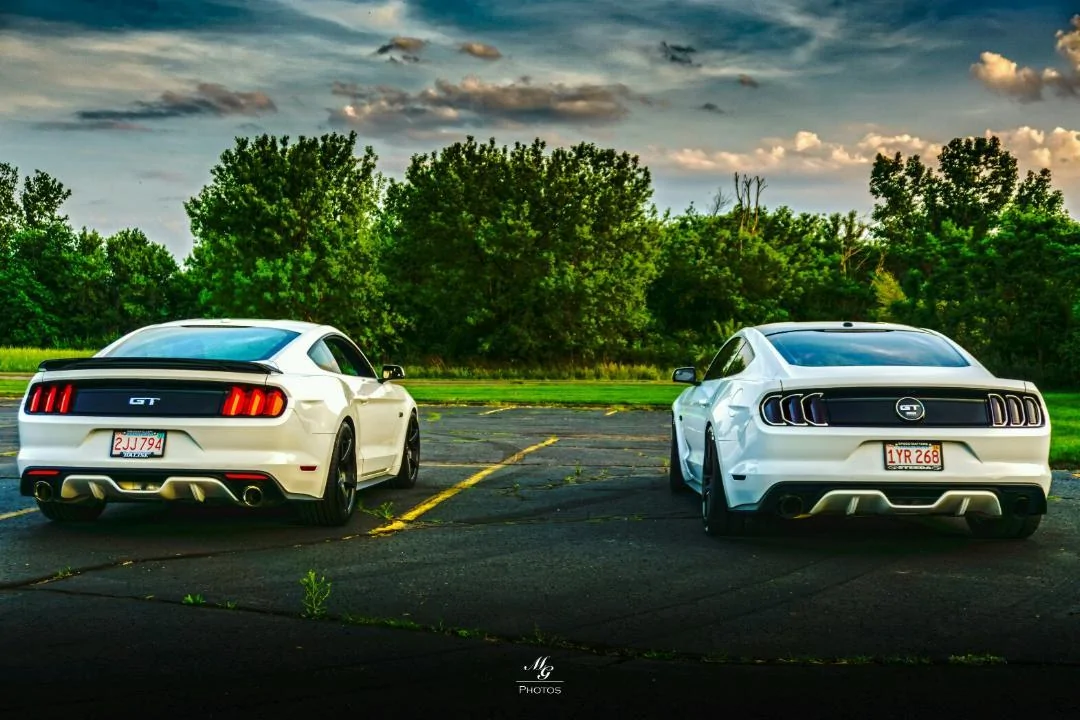 DSC95S10098795Edit95395WM.webp