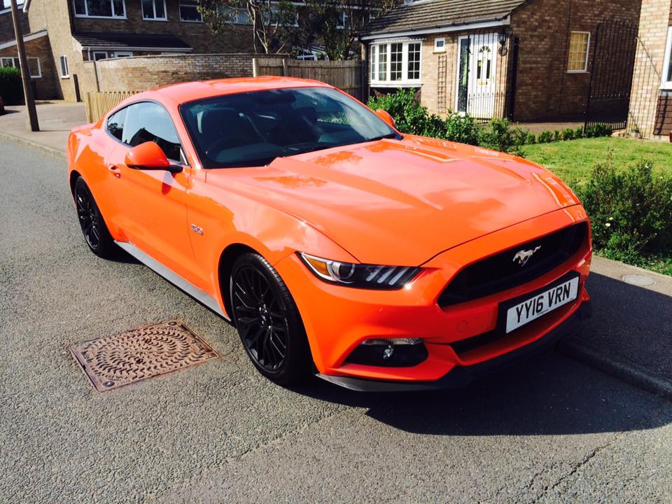 Mustang.jpg