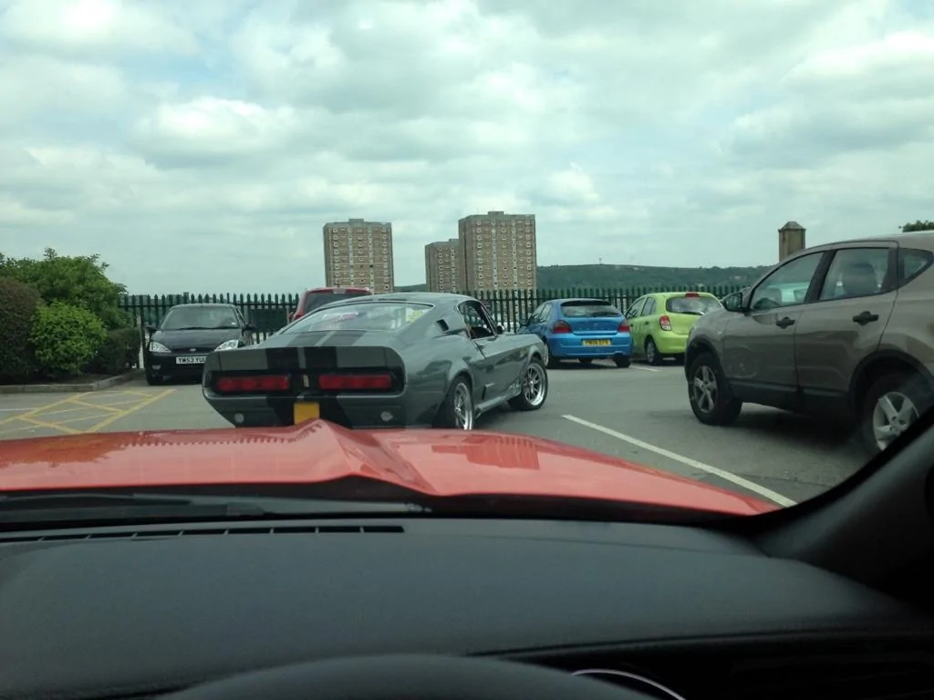 thumb_IMG_3663_1024.webp