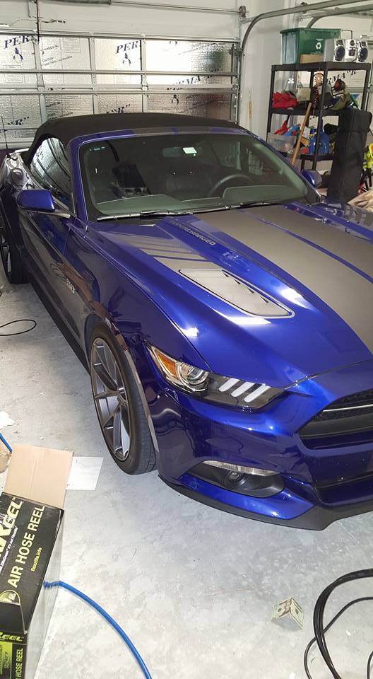mustang.jpg