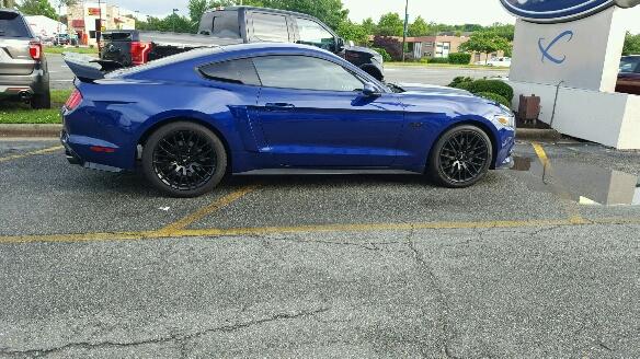 9687_resized.jpeg