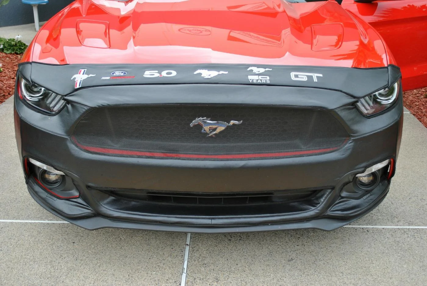 IMG_20160601_074125.webp