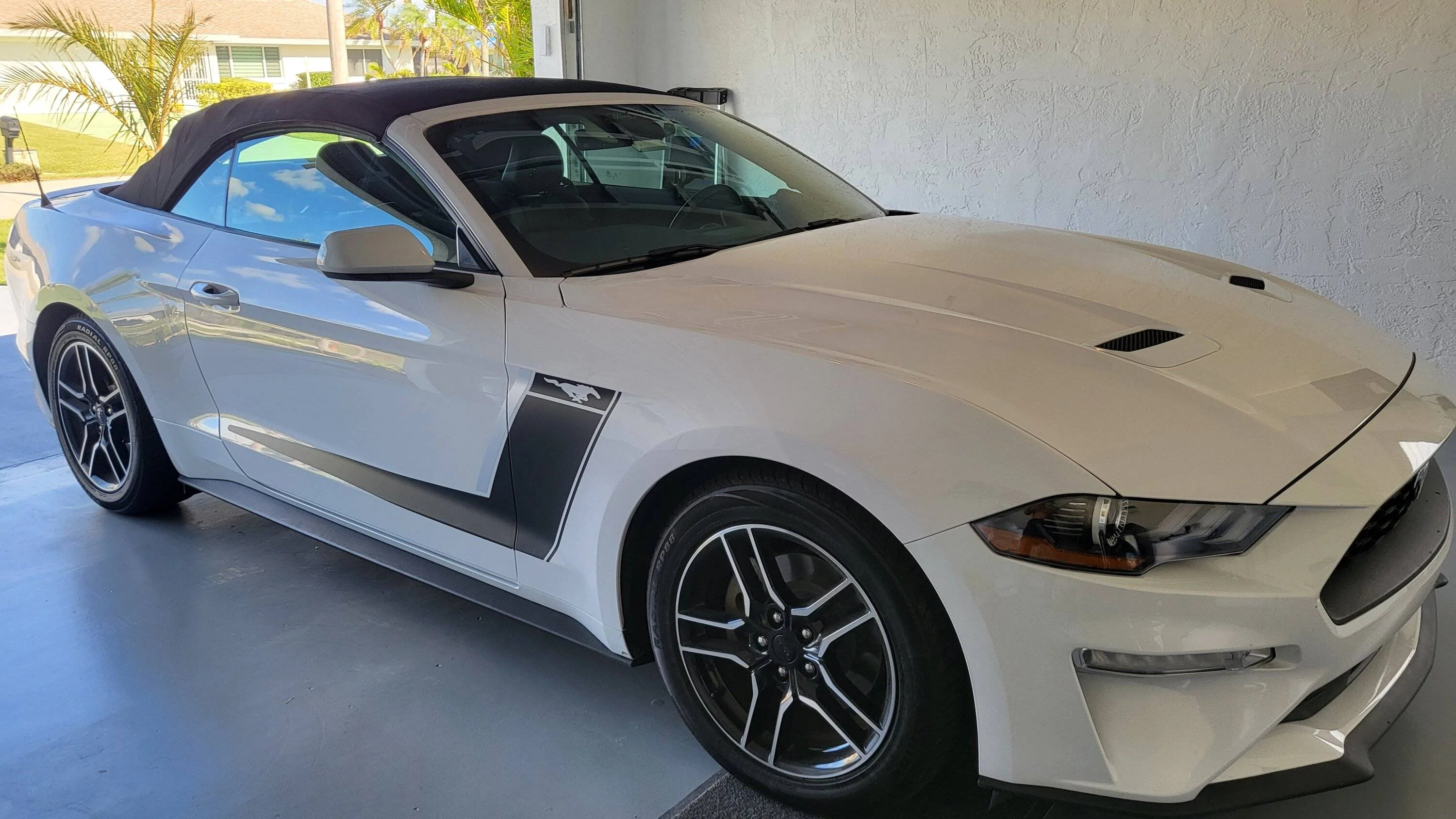 wolfgang-mustang-side-accent-stripes.webp