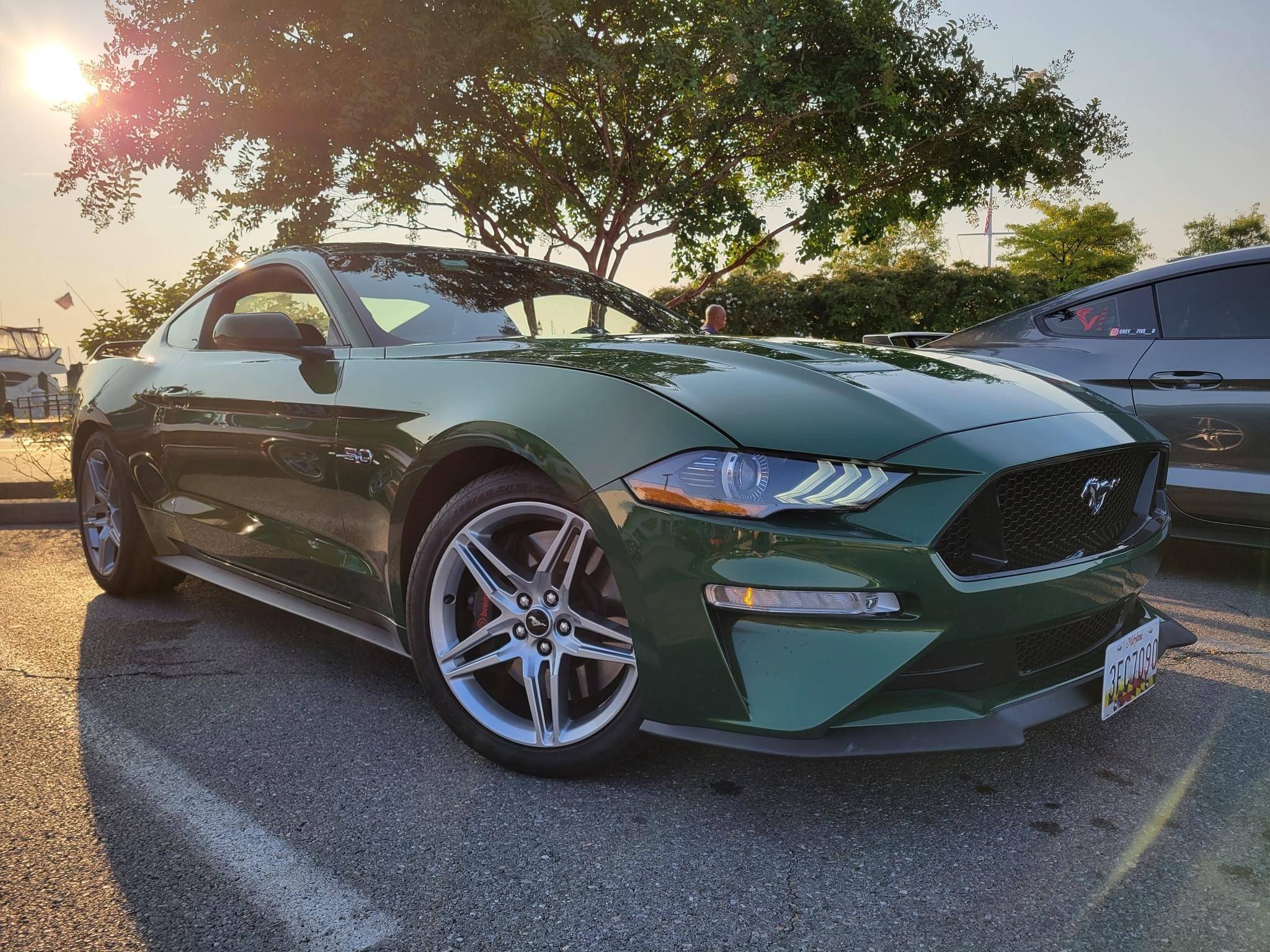 JBs_Mustang.jpeg