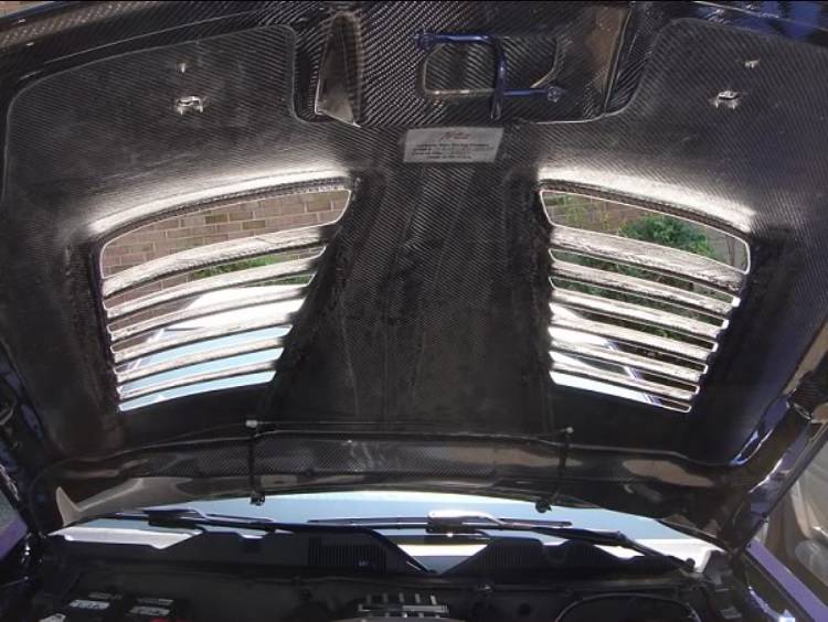 Tiger Racing Hood Underside Carbon.jpg