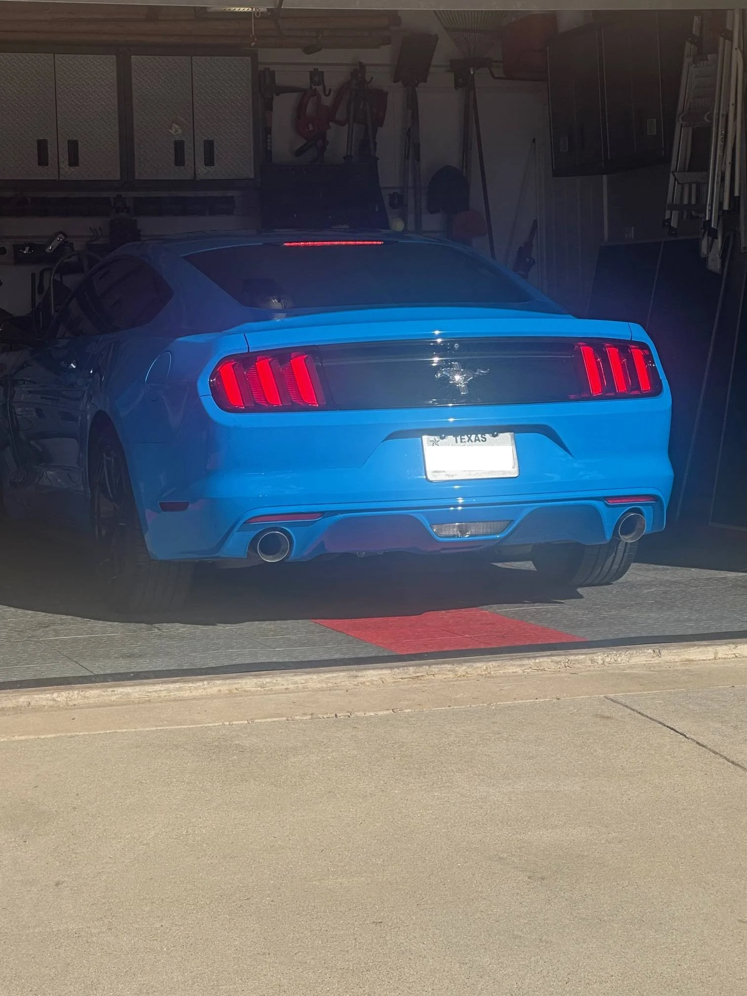 Stang1.webp
