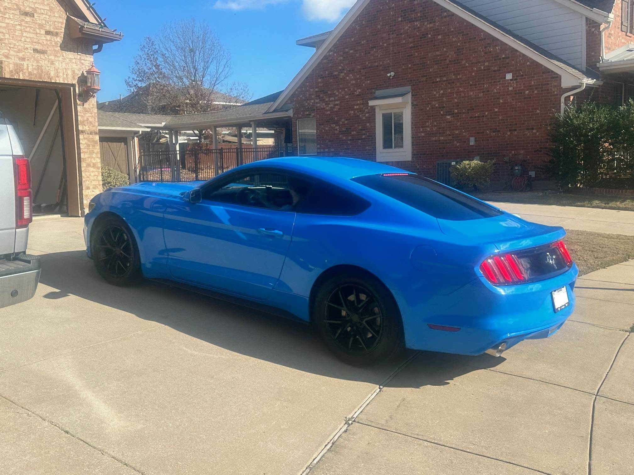 Stang2.jpg