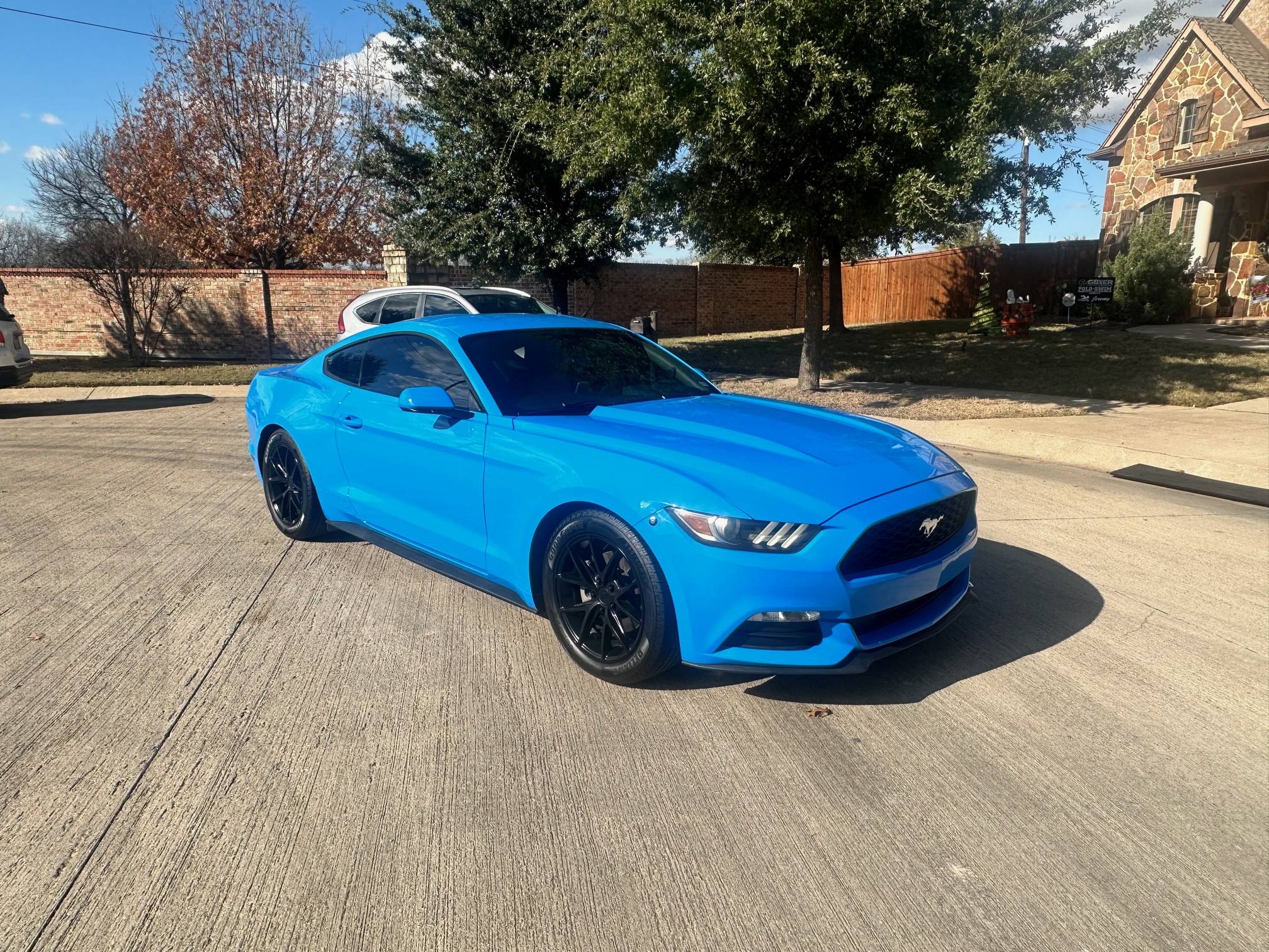 Stang3.jpg