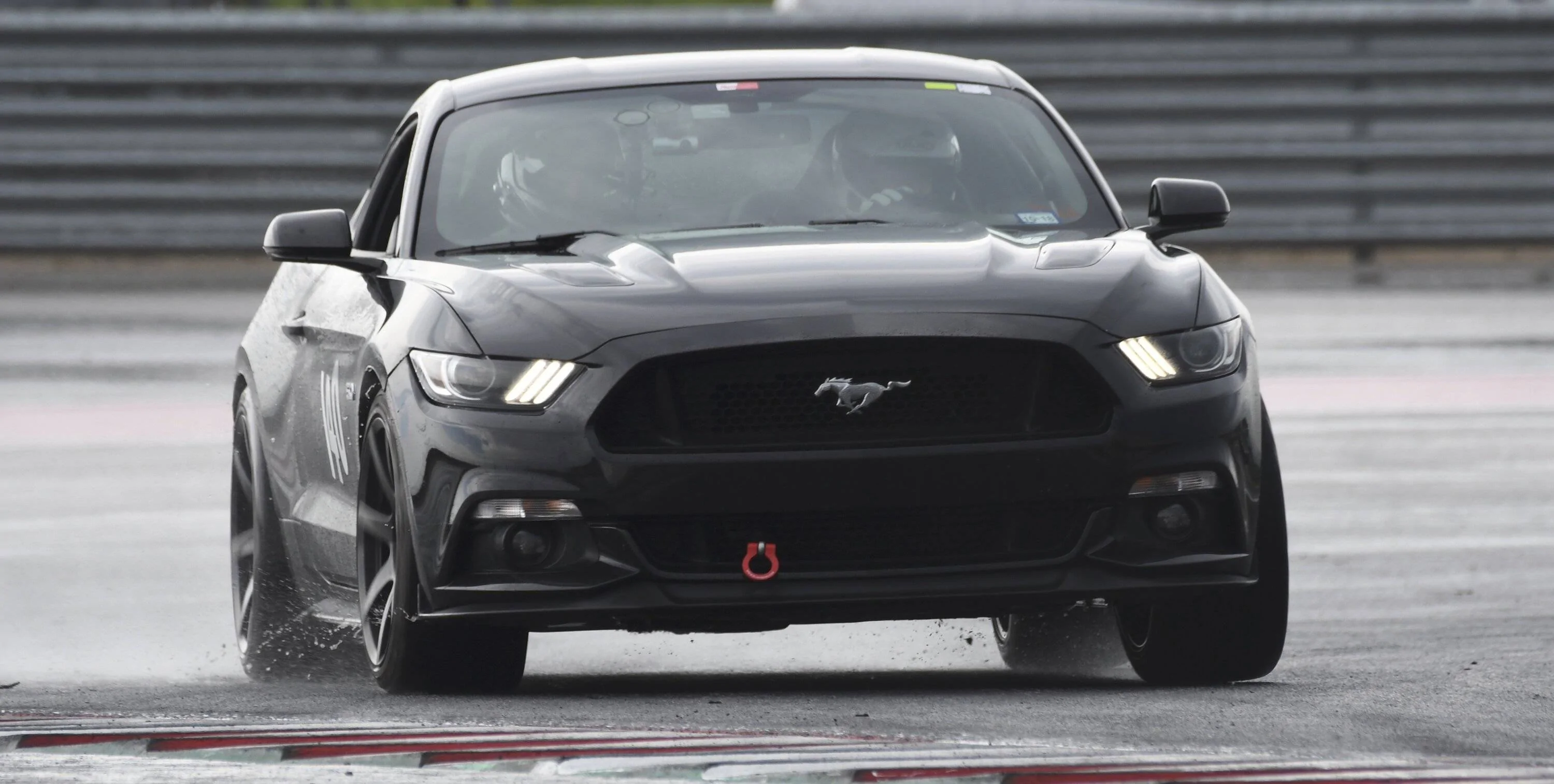 COTA Wet.webp