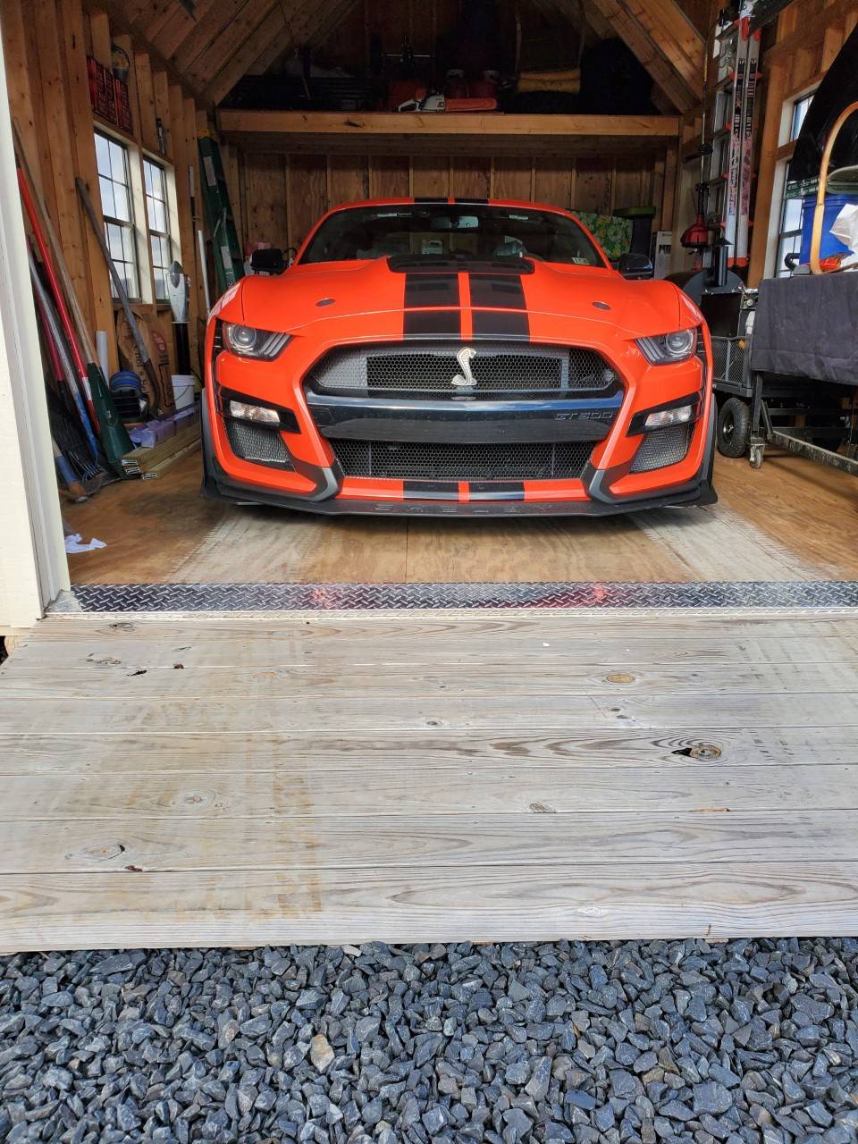shelby pic.jpg