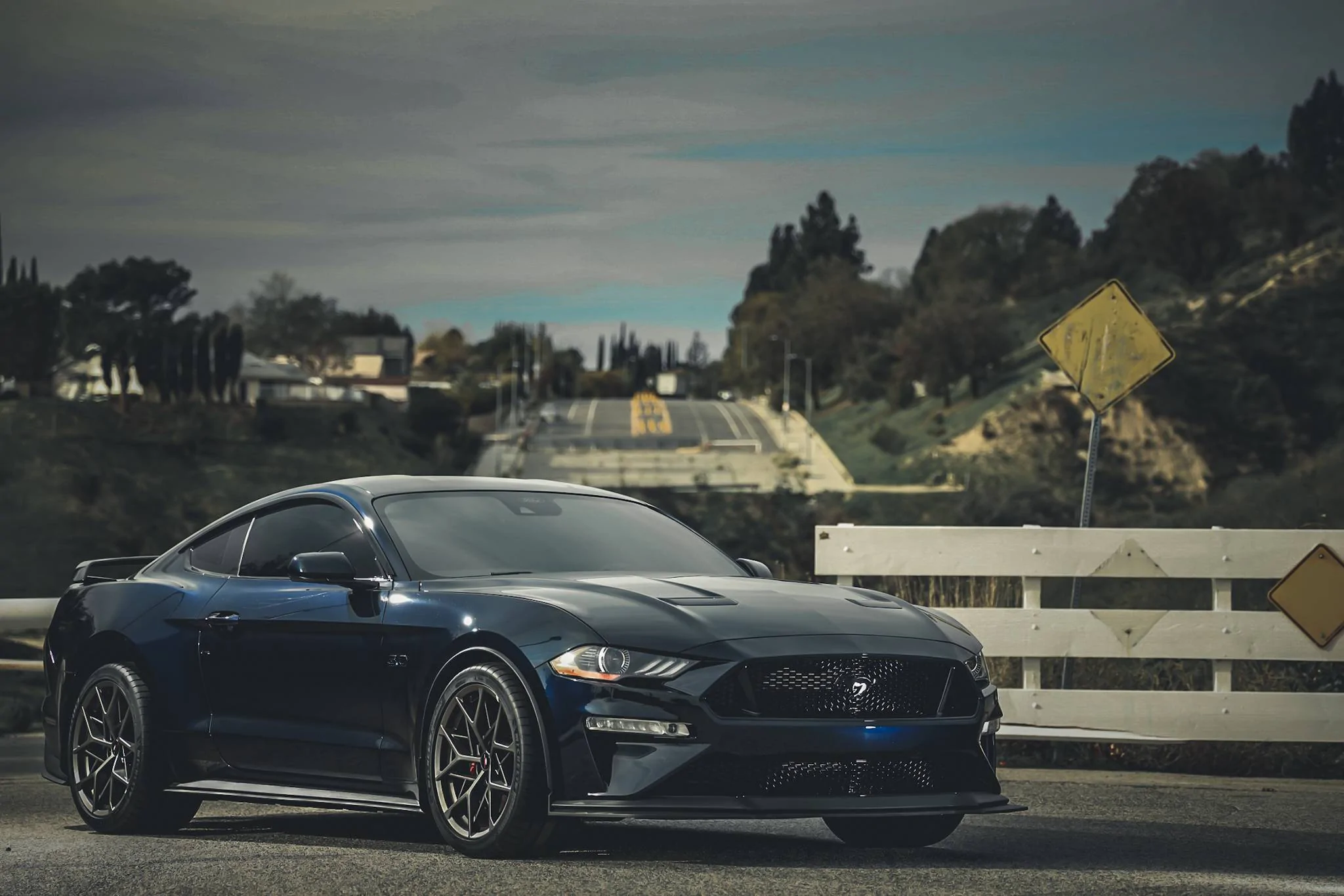462A3370 (2).webp