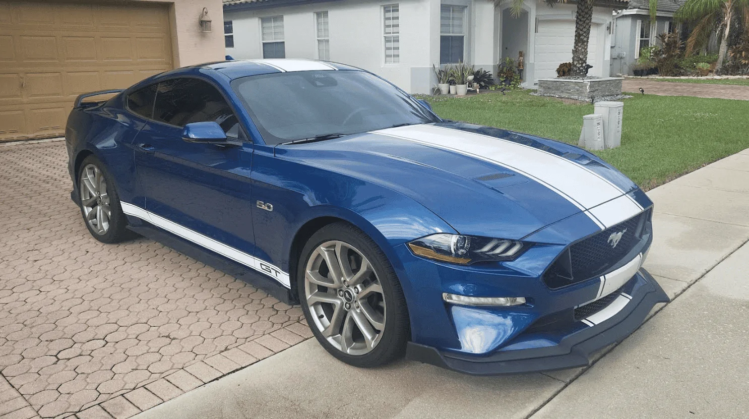 dariel-mustang-supersnake-style-full-length-stripes.webp
