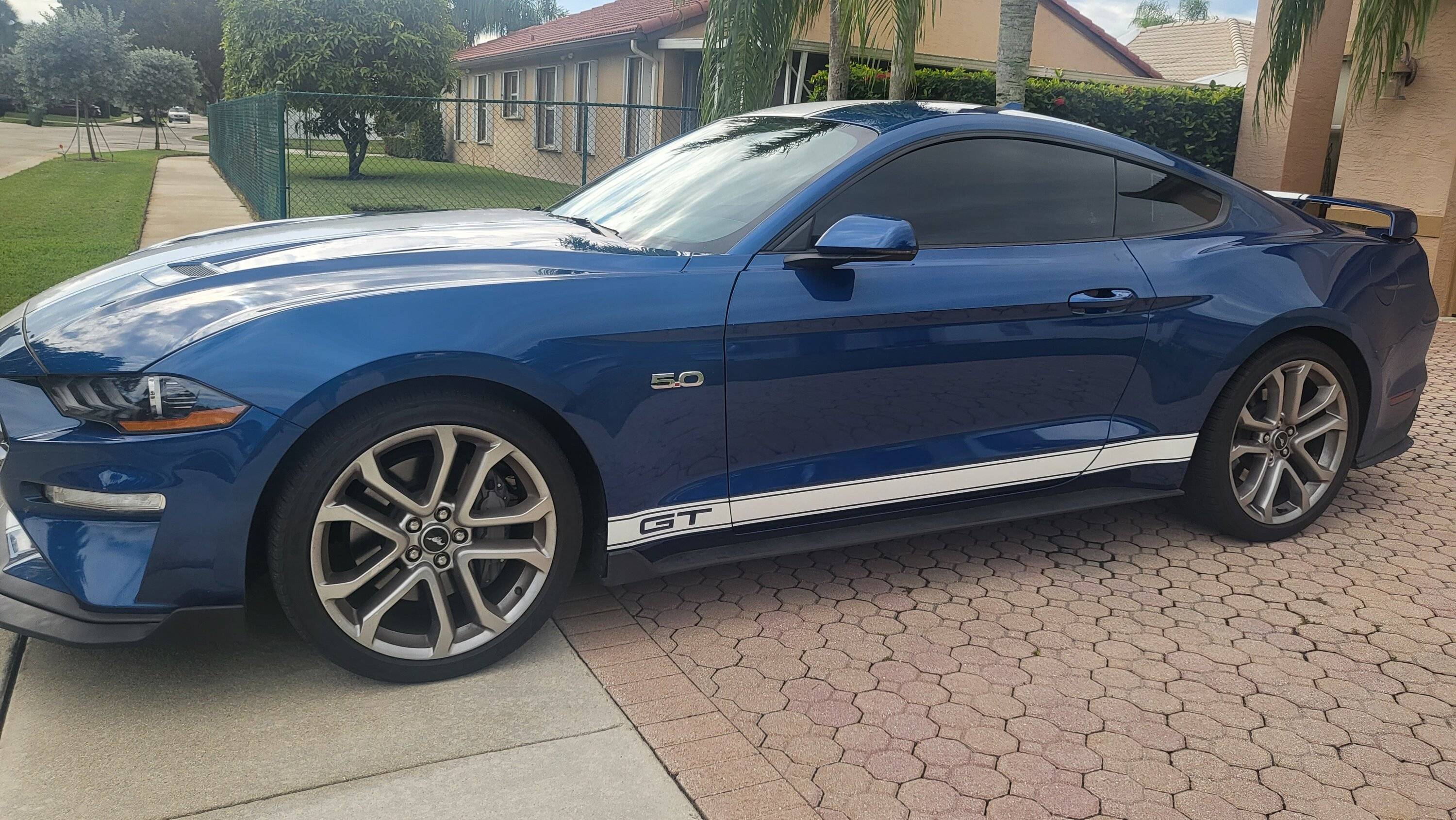 dariel-mustang-supersnake-style-full-length-stripes1.jpg