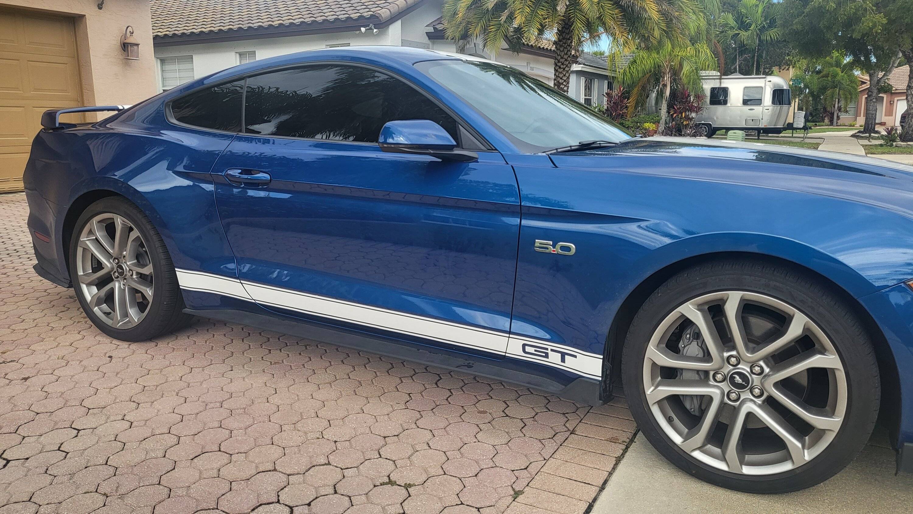 dariel-mustang-supersnake-style-full-length-stripes-2.jpg