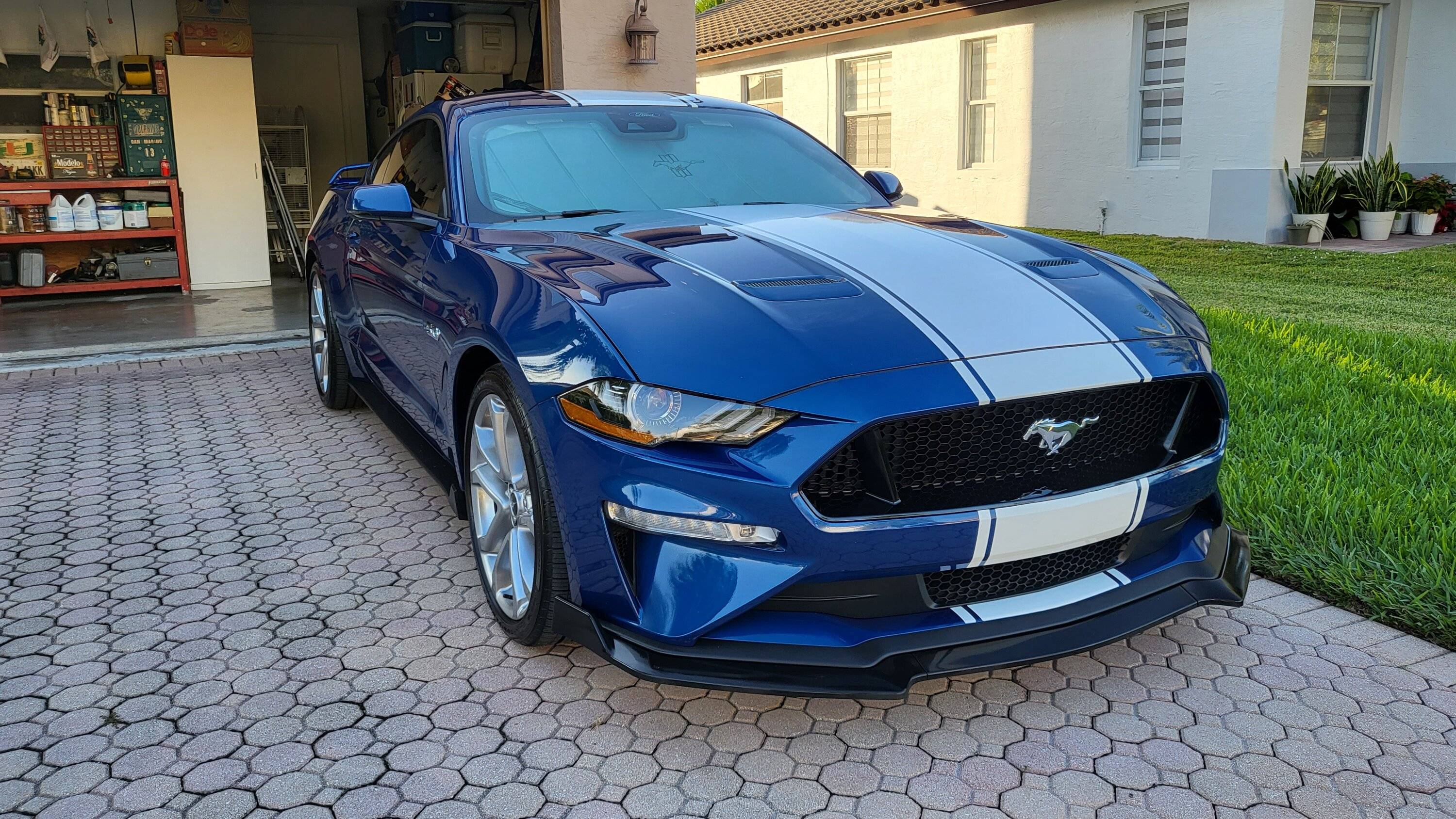 dariel-mustang-supersnake-style-full-length-stripes-3.jpg