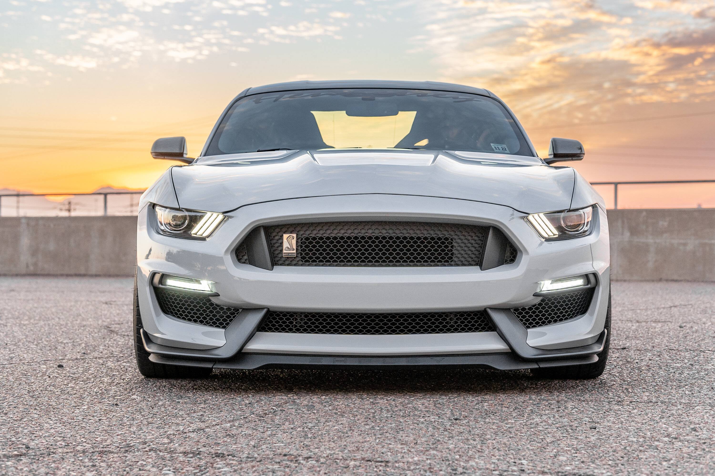 Shelby_GT350_20221121-007.jpg