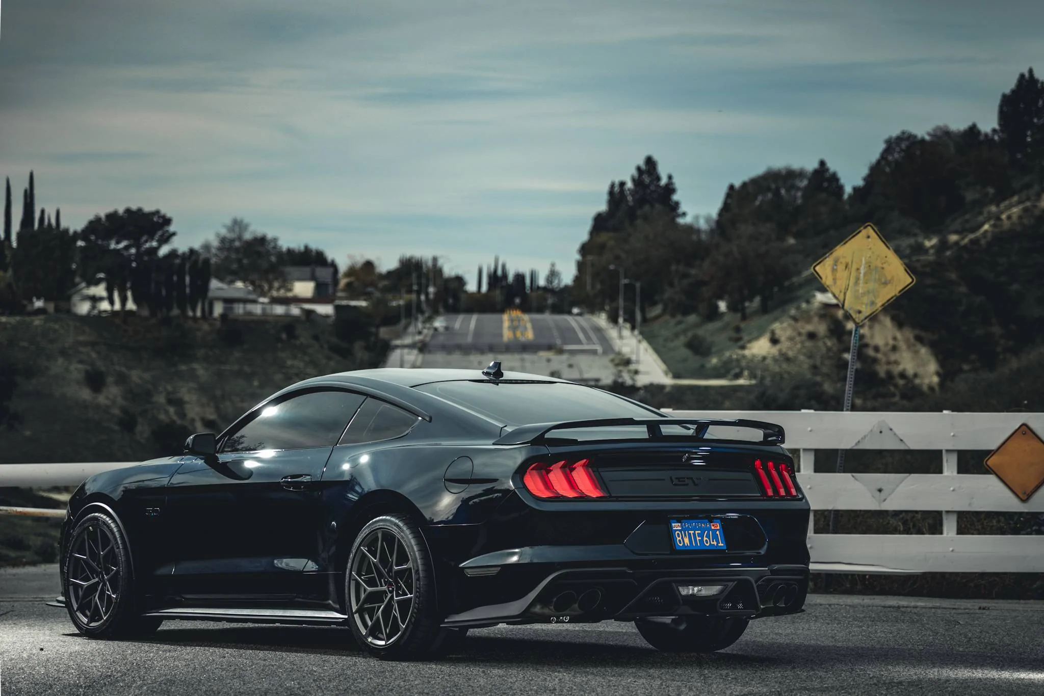 462A3375 (1).webp