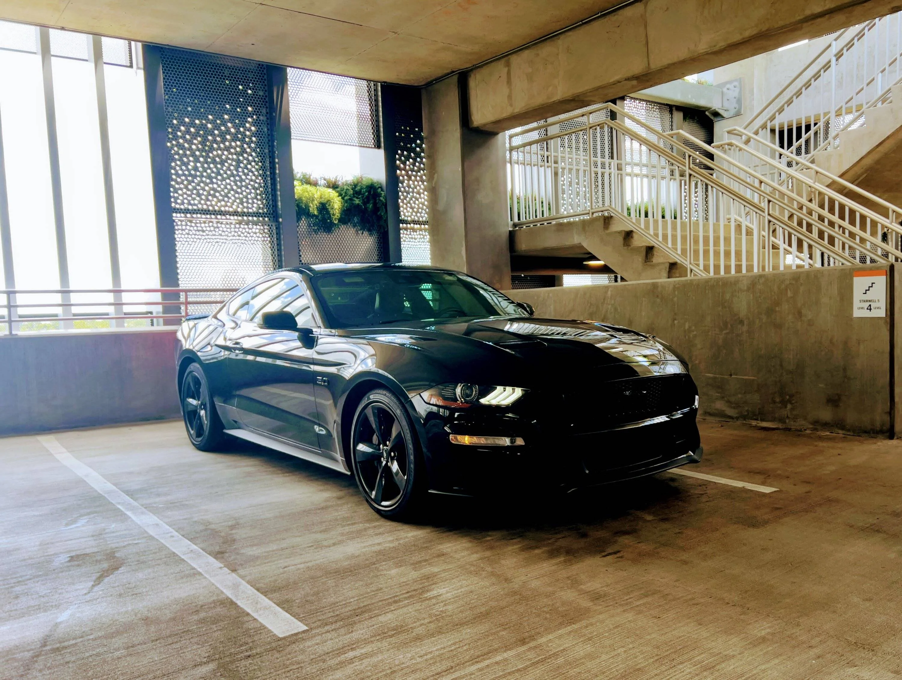 STANG-021.webp