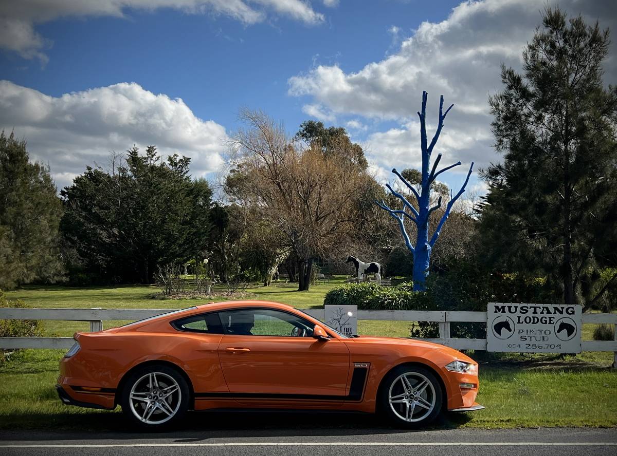 Mustang Lodge.jpg