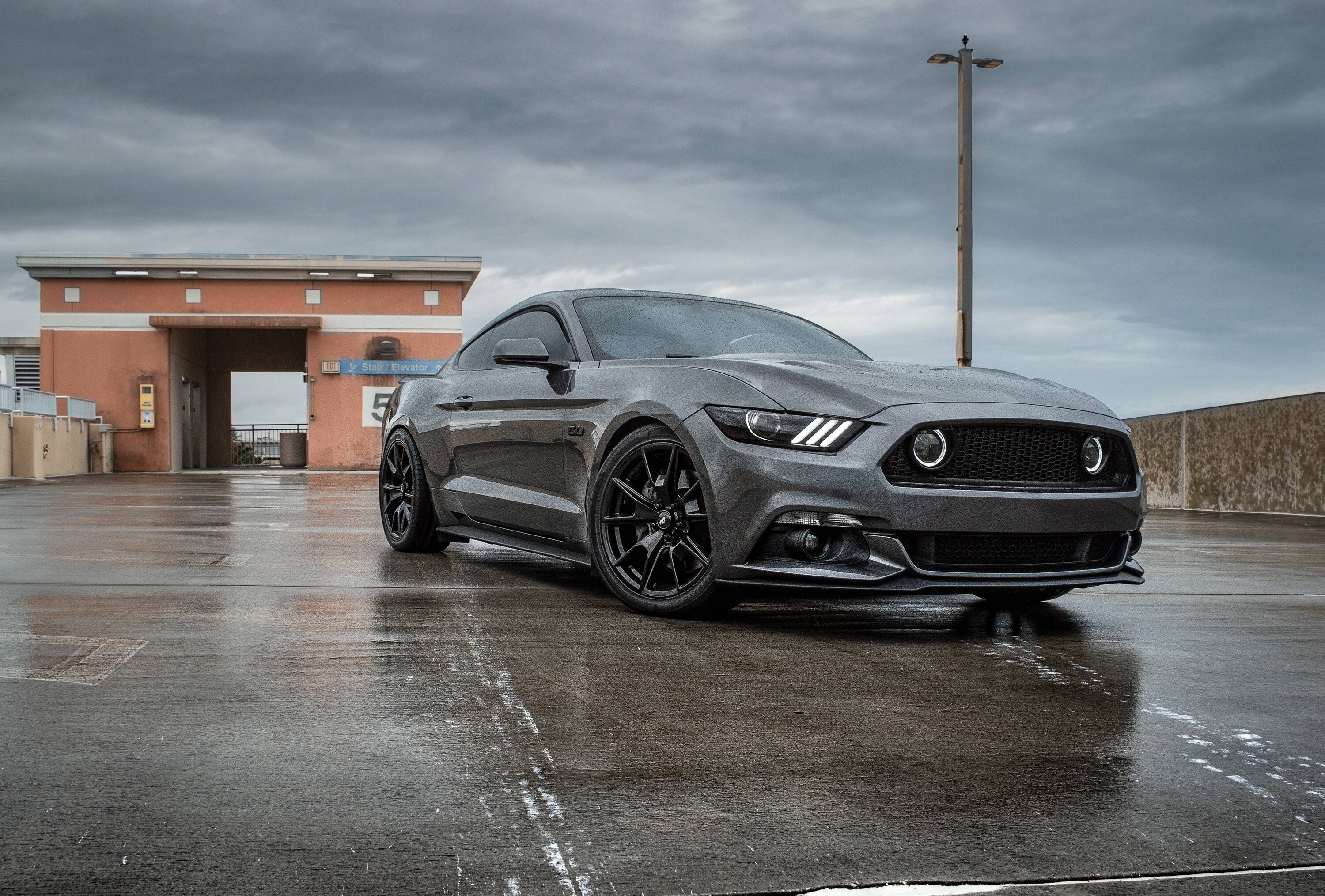 17-Mustang-GT-grille-with-fogs.jpg