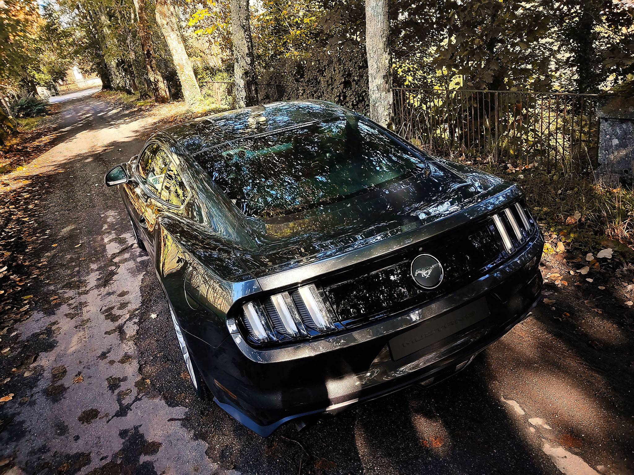 foto mustang Portugal.jpg