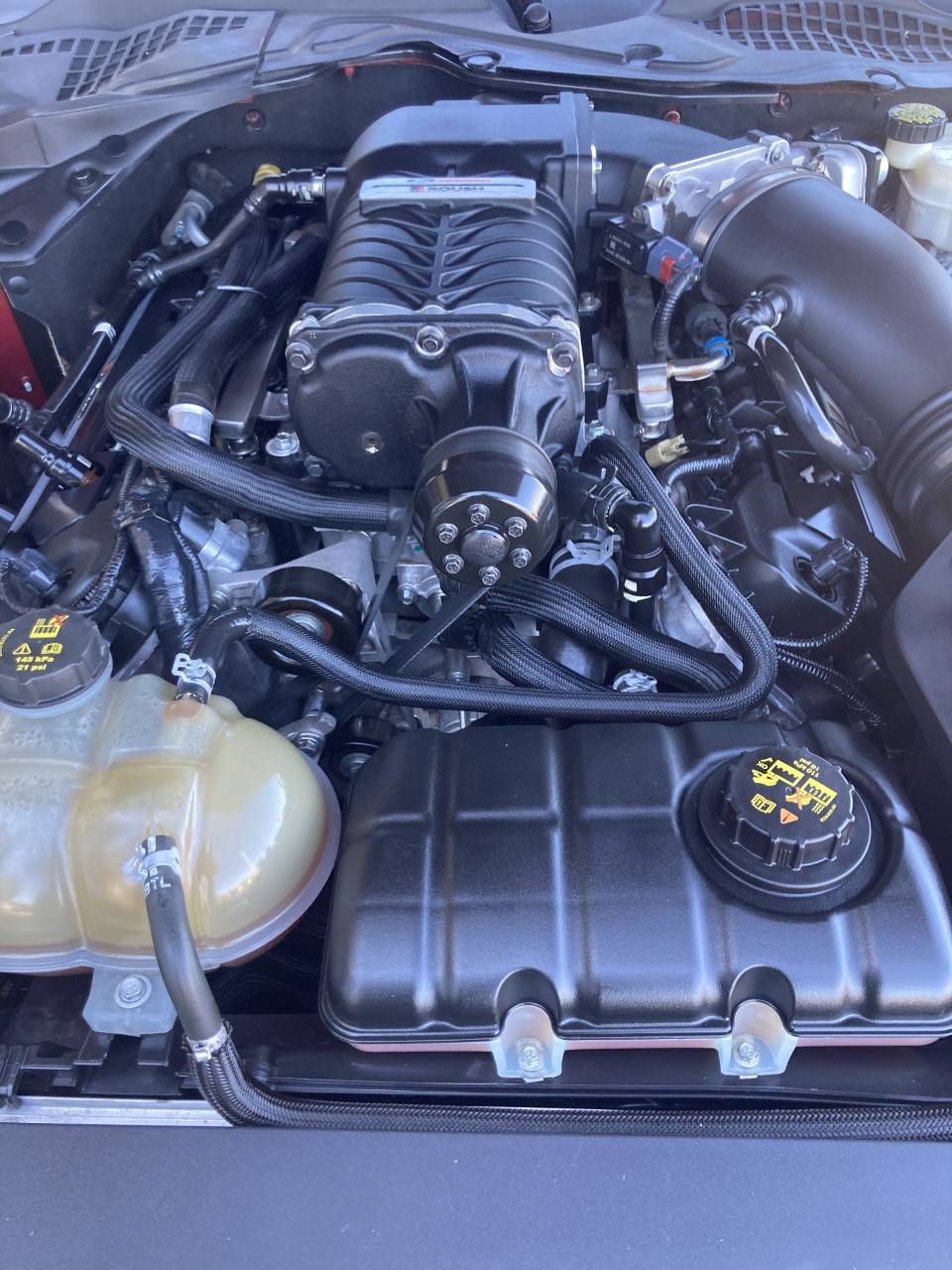 roush engine.jpg