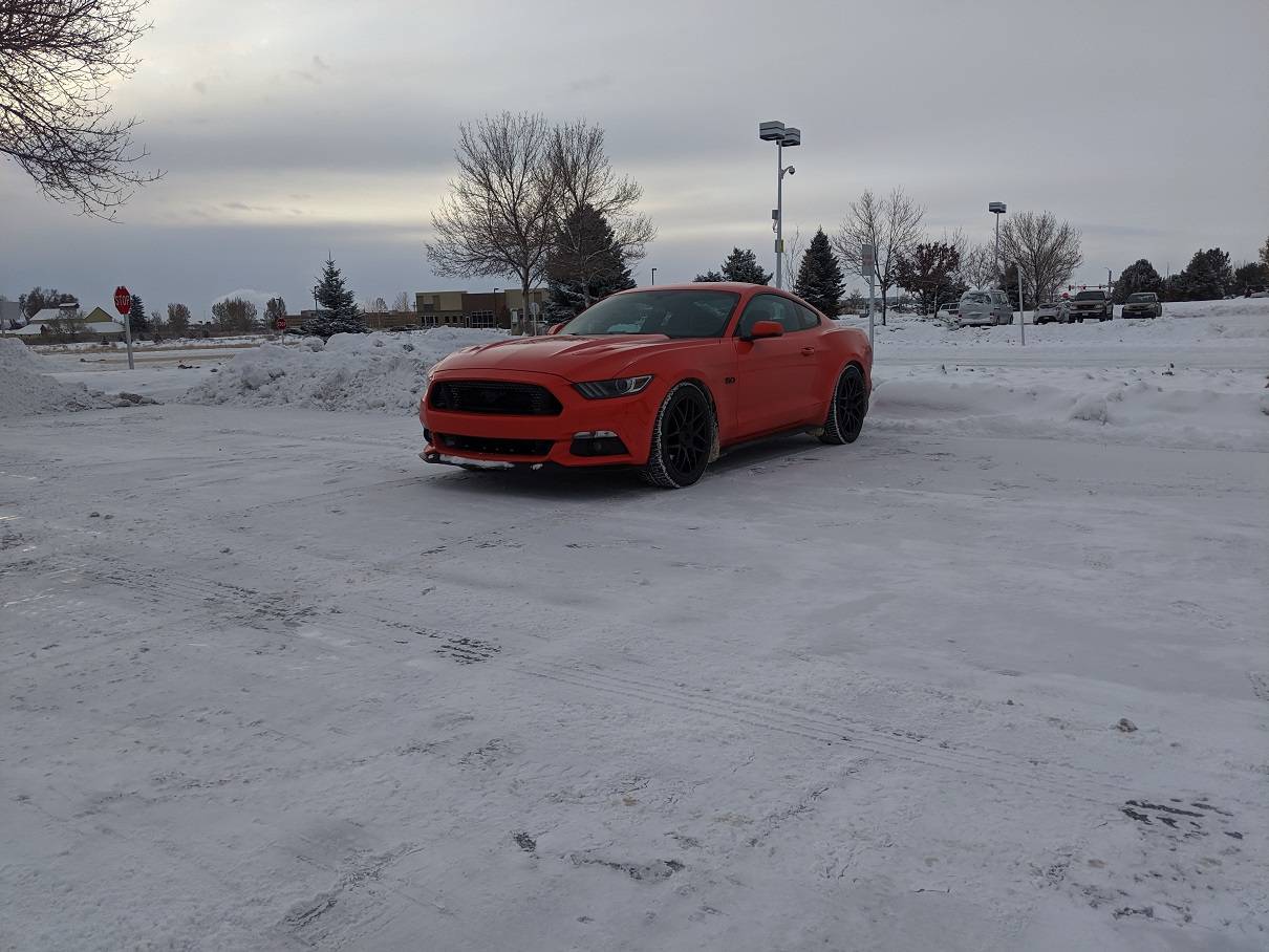 snow1.jpg