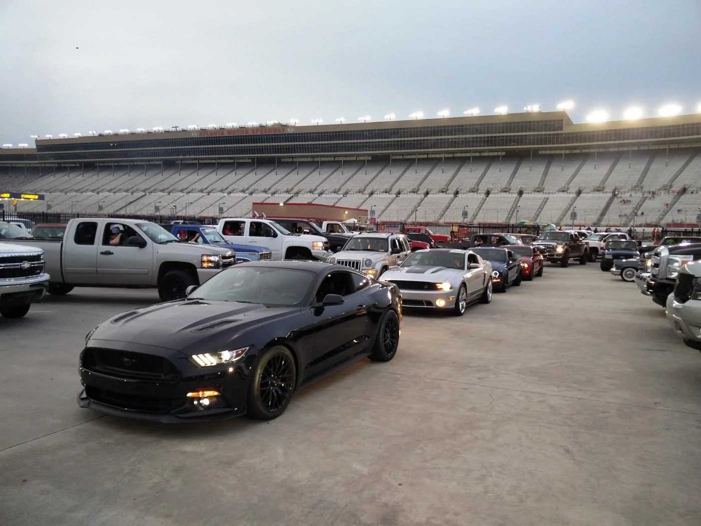 Mustang.webp