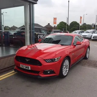 mustang 1.webp