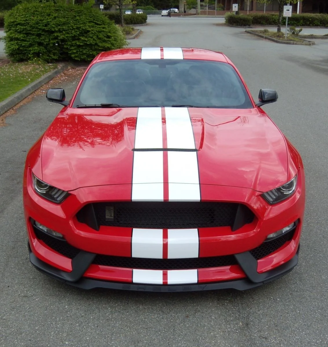 My Red 2016 GT350 009.webp