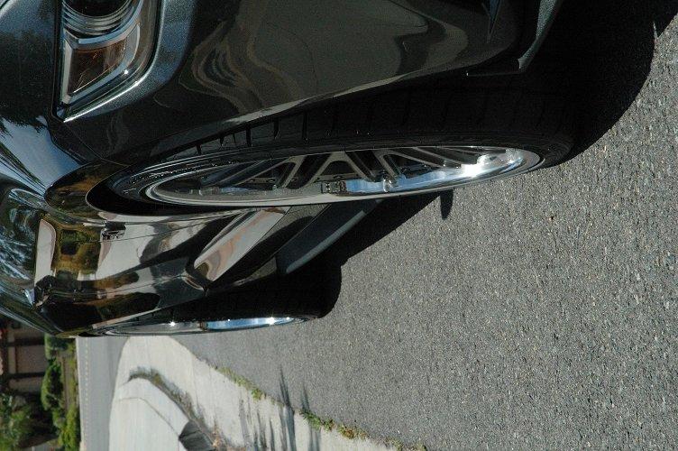 mustang3.jpg