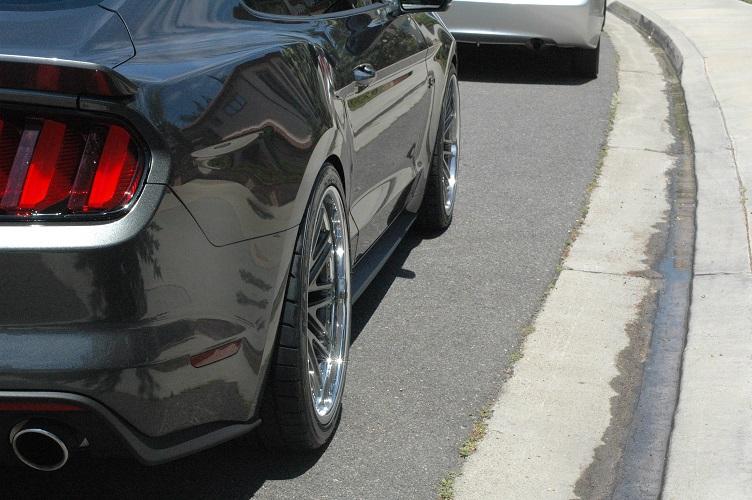 mustang4.jpg