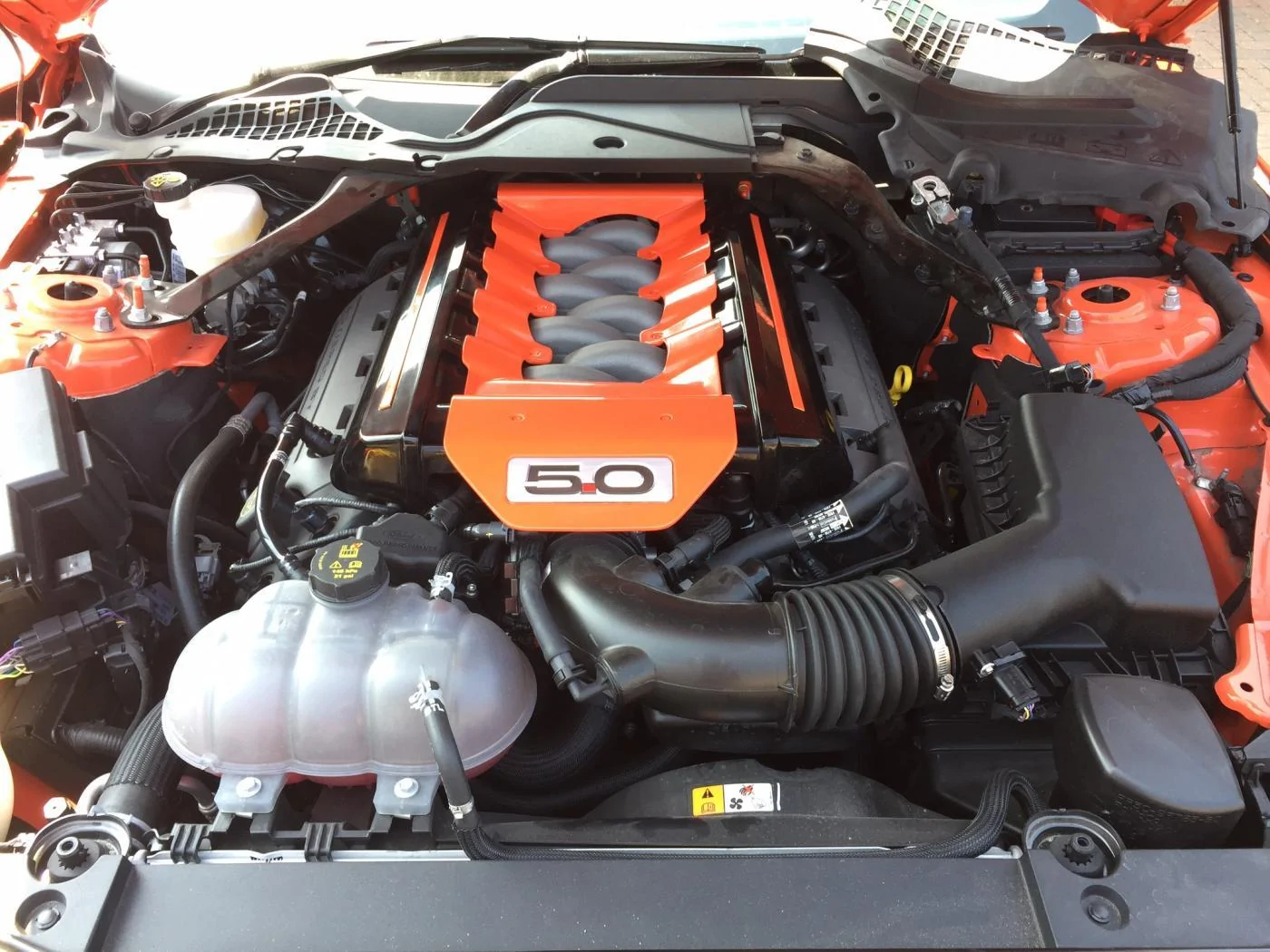 image.webp