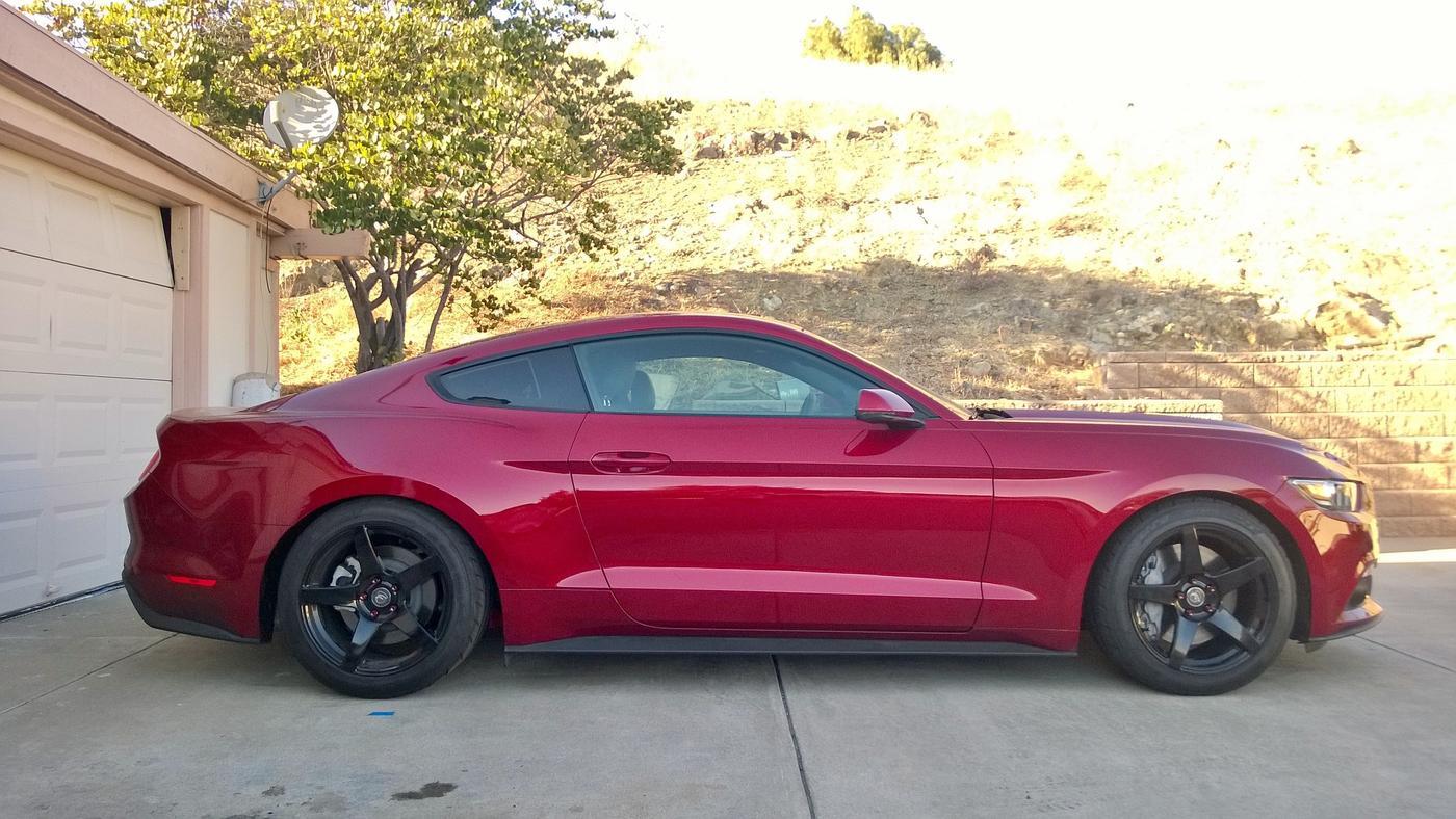 Mustang Right.jpg