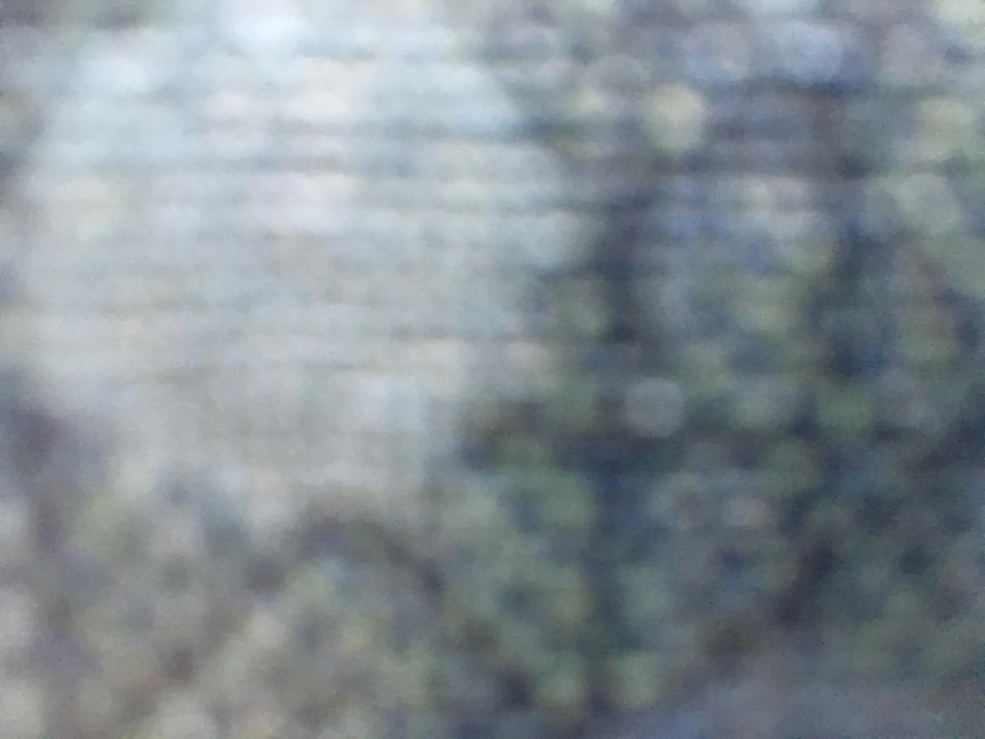 1465317013.image.webp