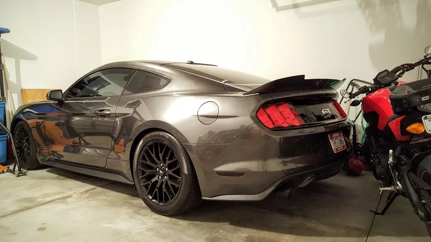 THE STANG.webp
