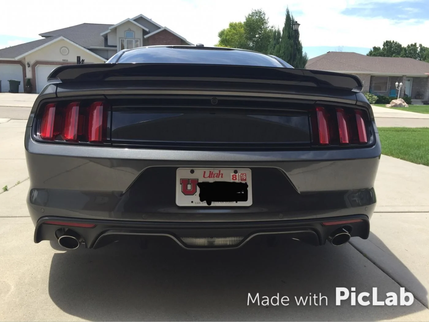 mustang.webp