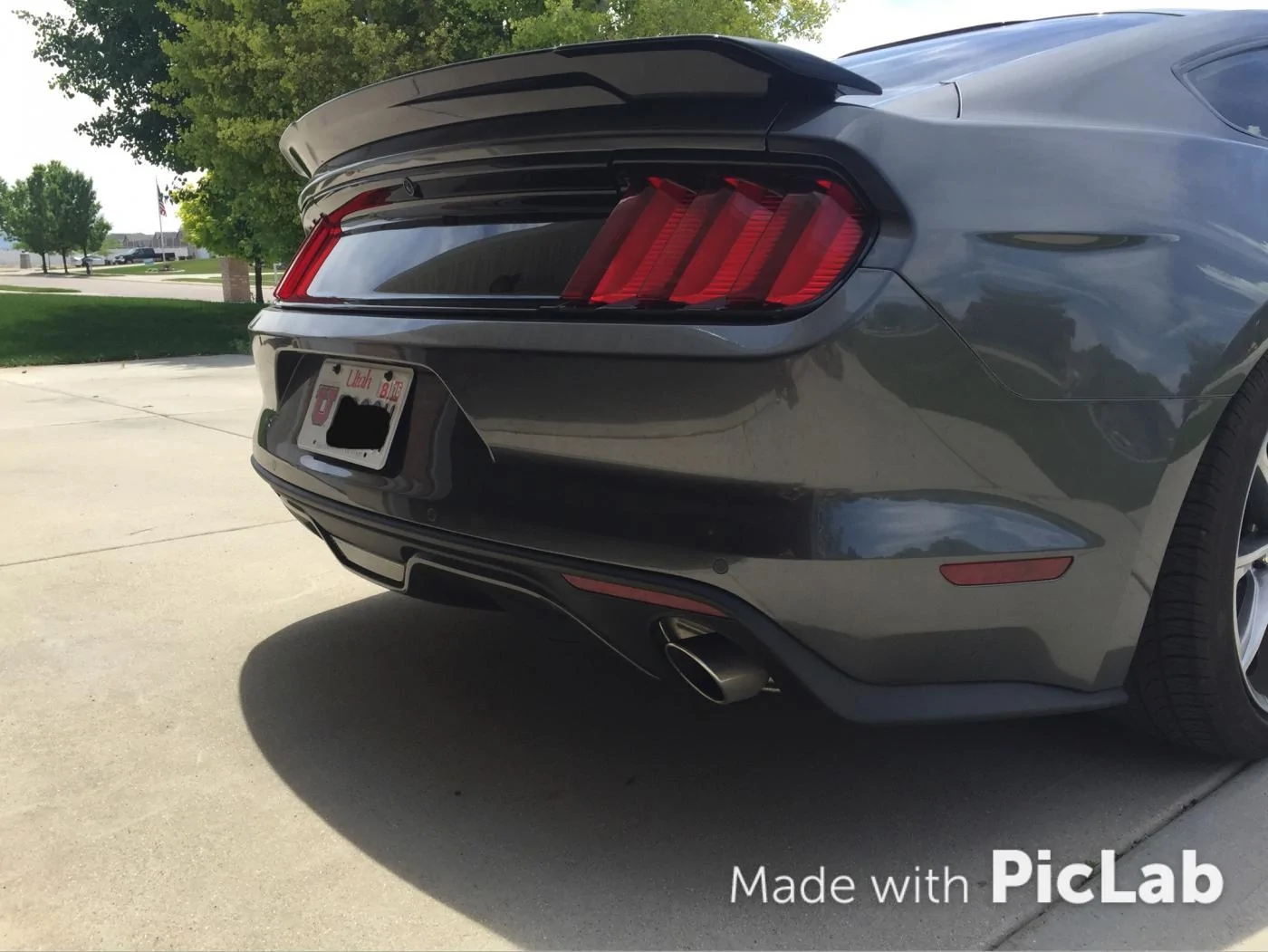 Mustang1.webp