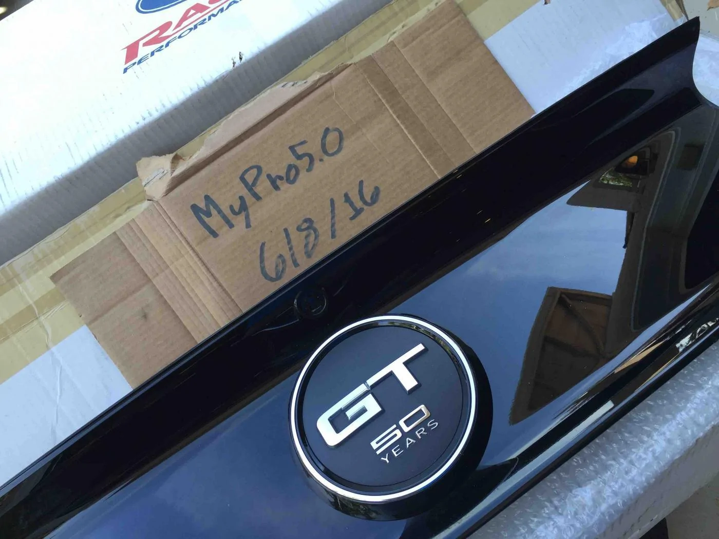 IMG_1877.webp