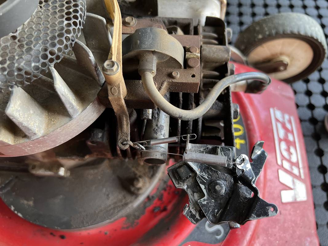 IMG-7005.jpg